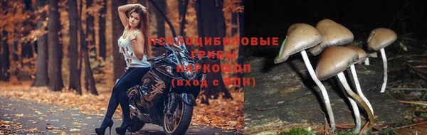 MESCALINE Абдулино