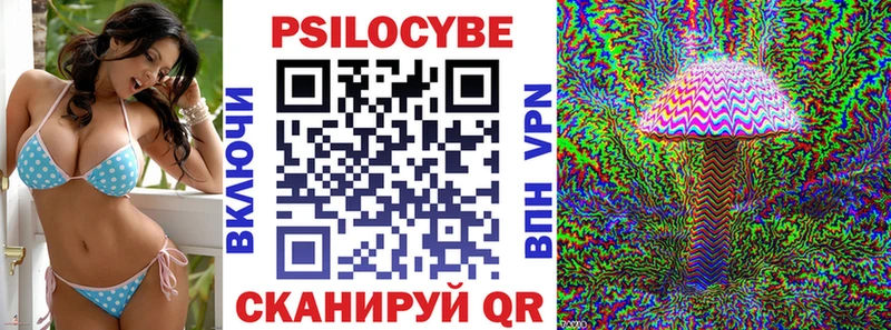 Псилоцибиновые грибы Cubensis что такое Цоци-Юрт