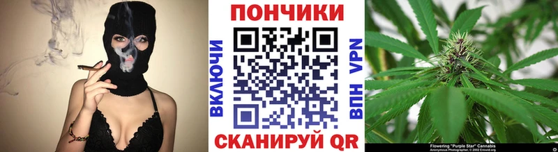 Бошки марихуана марихуана  хочу наркоту  Цоци-Юрт 